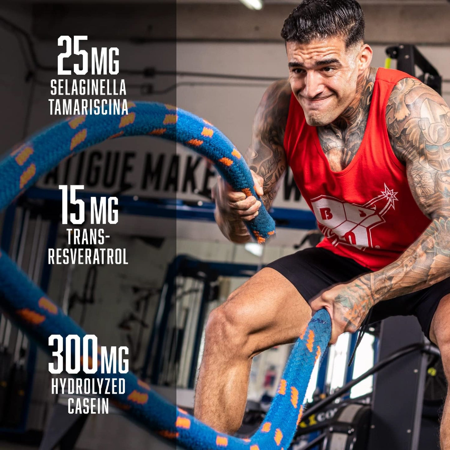 BSN NO‑XPLODE VASO Ultimate Pump Pre‑Workout