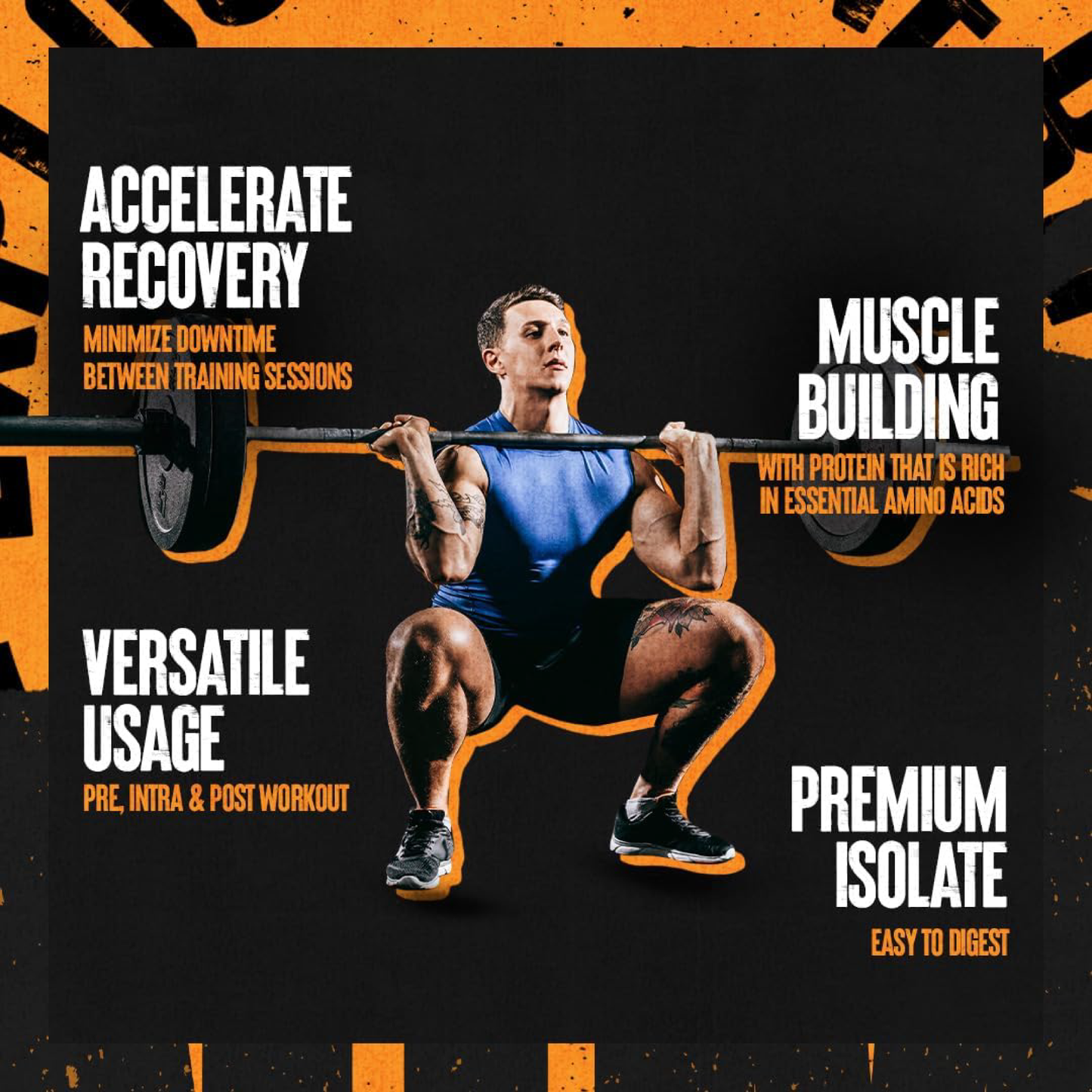 Animal Clear Whey Isolate Saf İzole Protein Tozu (500 g)