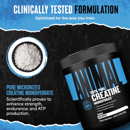 Animal 100% Pure Creatine Monohydrate™ Powder Unflavored 10.58 oz (300 g)