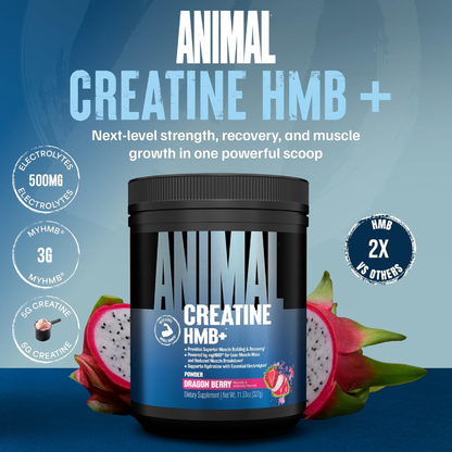 Animal Creatine HMB+™ Powder Power Punch (342 g)