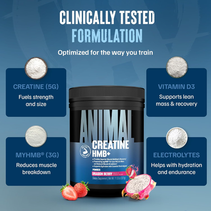 Animal Creatine HMB+™ Powder Power Punch (342 g)