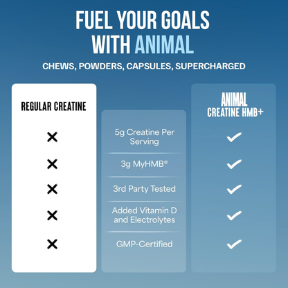 Animal Creatine HMB+™ Powder Power Punch (342 g)