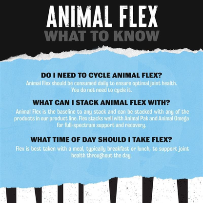 Animal Flex – Eklem & Bağ Dokusu Destekleyici Toz ( 369 g )