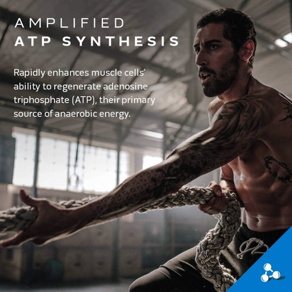 MuscleTech, Cell-Tech™ Creactor®, Unflavored, 8.47 oz (240 g)