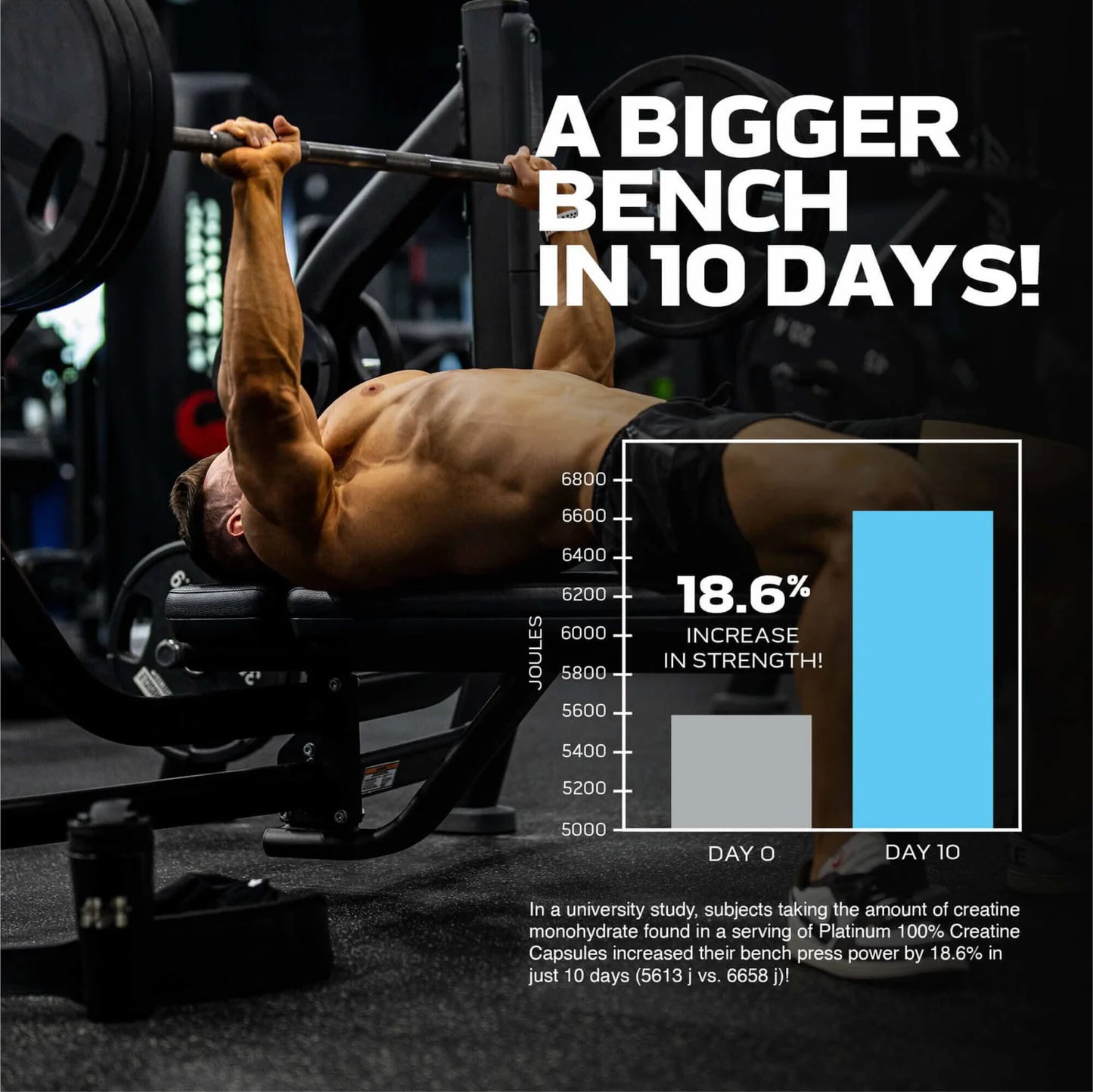 MuscleTech Platinum %100 Kreatin Monohidrat Vejetaryen Kapsül - 100 Capsül