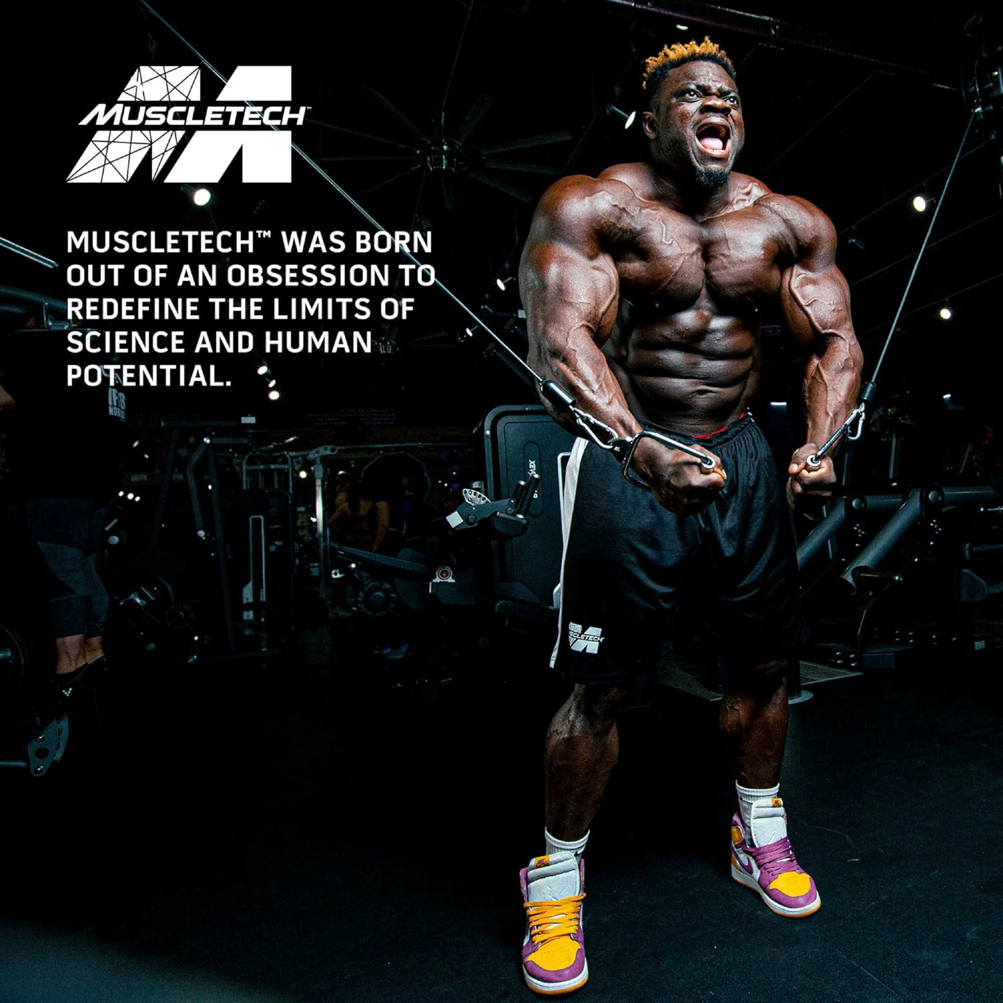 MuscleTech, Mass-Tech™ Extreme 2000 | Maksimum Kilo & Kas Artırıcı 6 lbs (2.72 kg)