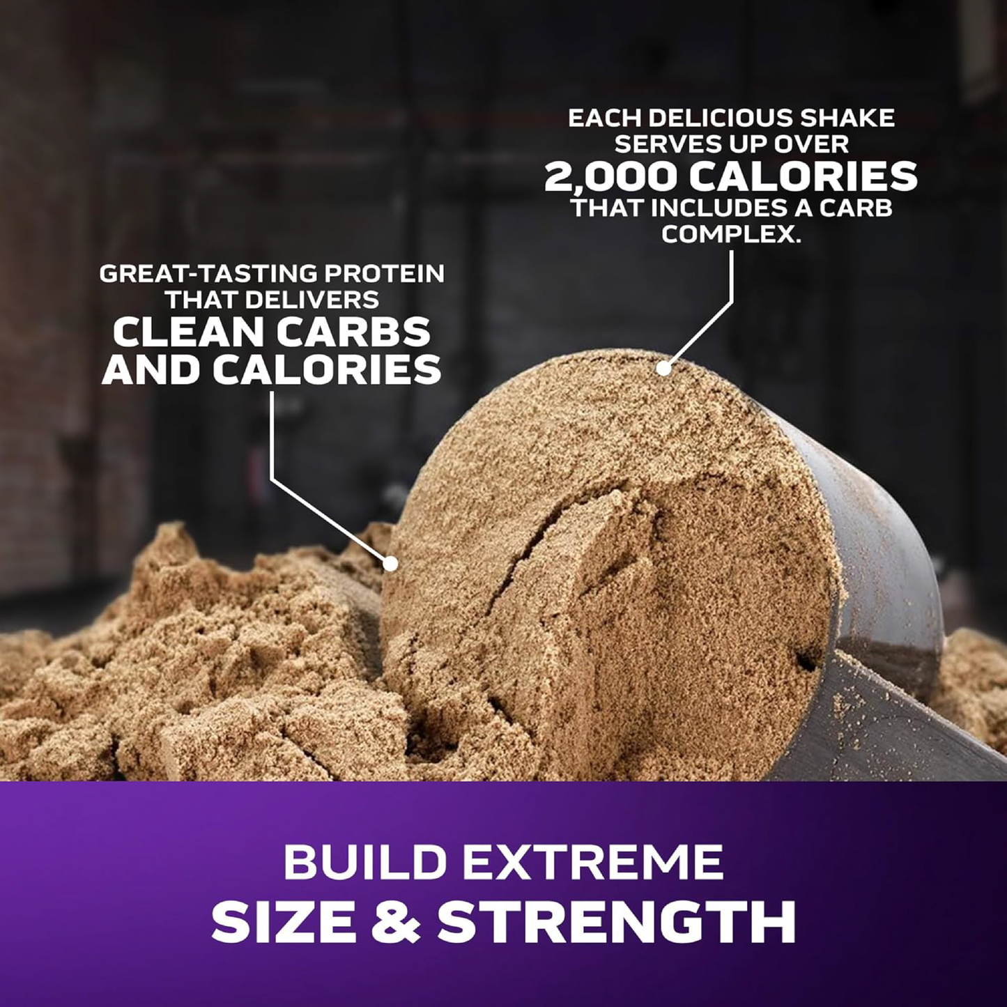 MuscleTech, Mass-Tech™ Extreme 2000 | Maksimum Kilo & Kas Artırıcı 6 lbs (2.72 kg)