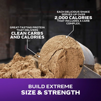 MuscleTech, Mass-Tech™ Extreme 2000 | Maksimum Kilo & Kas Artırıcı 6 lbs (2.72 kg)