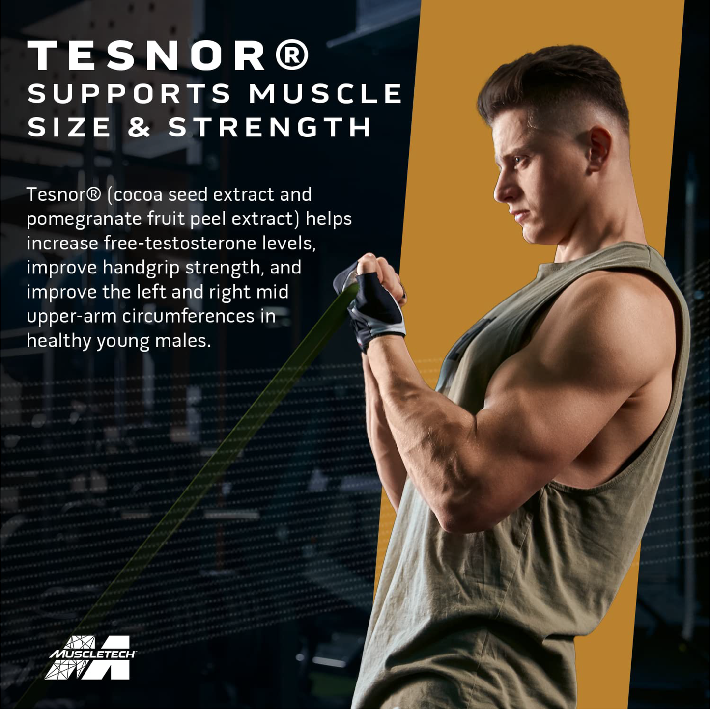 MuscleTech Test HD Elite Serbest Testosteron Güçlendirici - 120 Kapsül